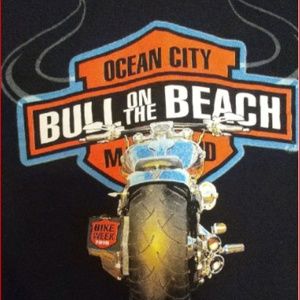 Harley Davidson Biker Enthusiast